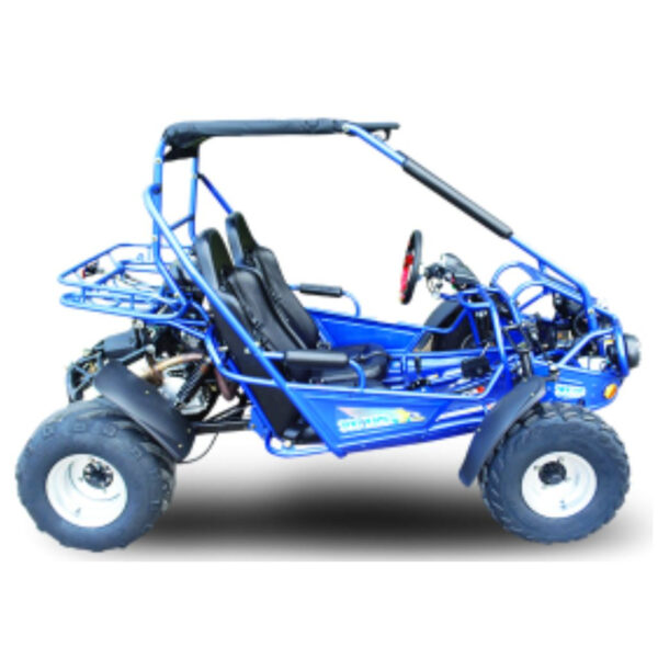 TrailMaster 300E XRS Go-Kart (EFI)