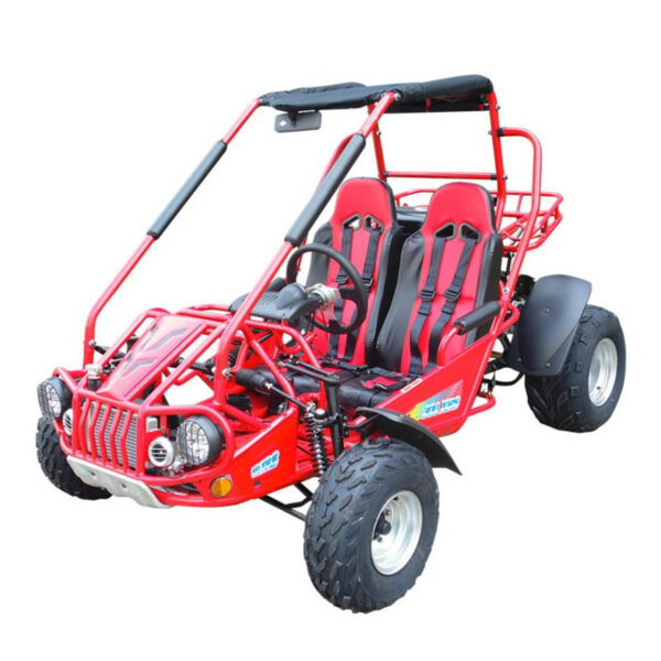 TrailMaster 300E XRS Go-Kart