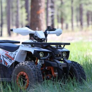 Coleman Powersports, All-Terrain Vehicle – Yz Demon Bikes | Custom Mini Bikes & Go Kart