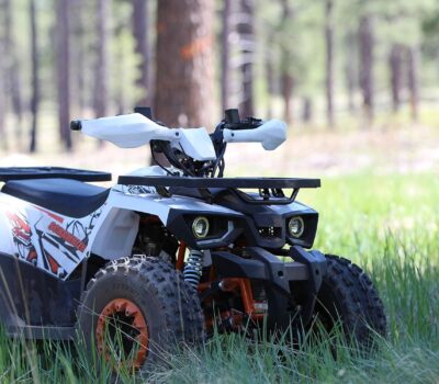 Coleman Powersports, All-Terrain Vehicle – Yz Demon Bikes | Custom Mini Bikes & Go Kart