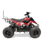 Coolster Mini 110cc Sport ATV – Yz Demon Bikes | Custom Mini Bikes & Go Kart