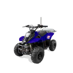 Coolster Mini 110cc Sport ATV