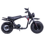 Mega Moto 212cc Minibike Kit