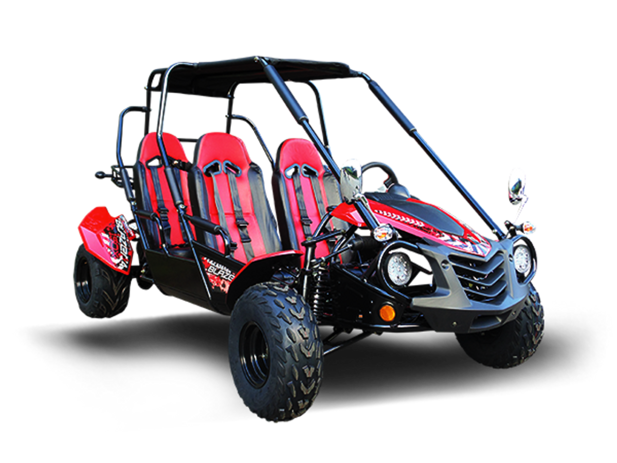 4-Seater 200X Go-Kart