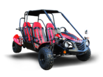 4-Seater 200X Go-Kart