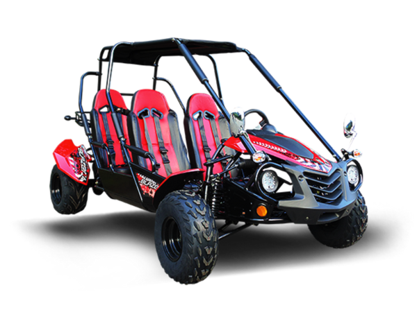 4-Seater 200X Go-Kart