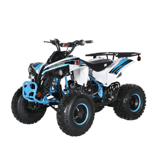 TrailMaster C125 125cc Sport ATV – Yz Demon Bikes | Custom Mini Bikes & Go Kart