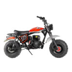 TrailMaster Hurricane 200 Pro