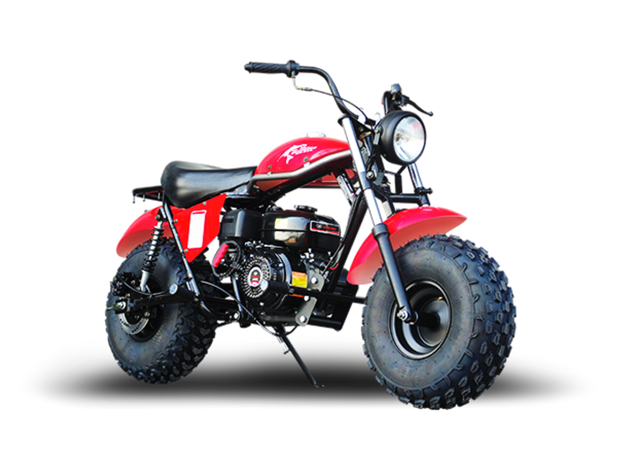 TrailMaster MB200-2 Minibike – Yz Demon Bikes