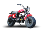 TrailMaster MB200-2 Minibike – Yz Demon Bikes